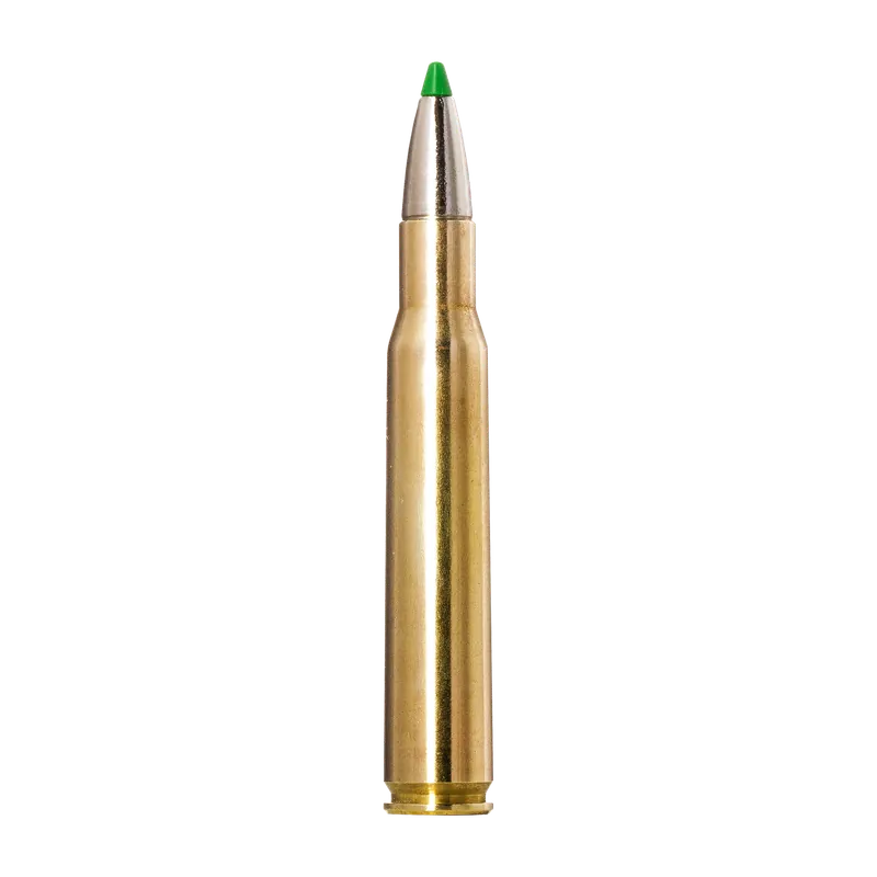 Snabb frakt - Ecostrike Ammunition
