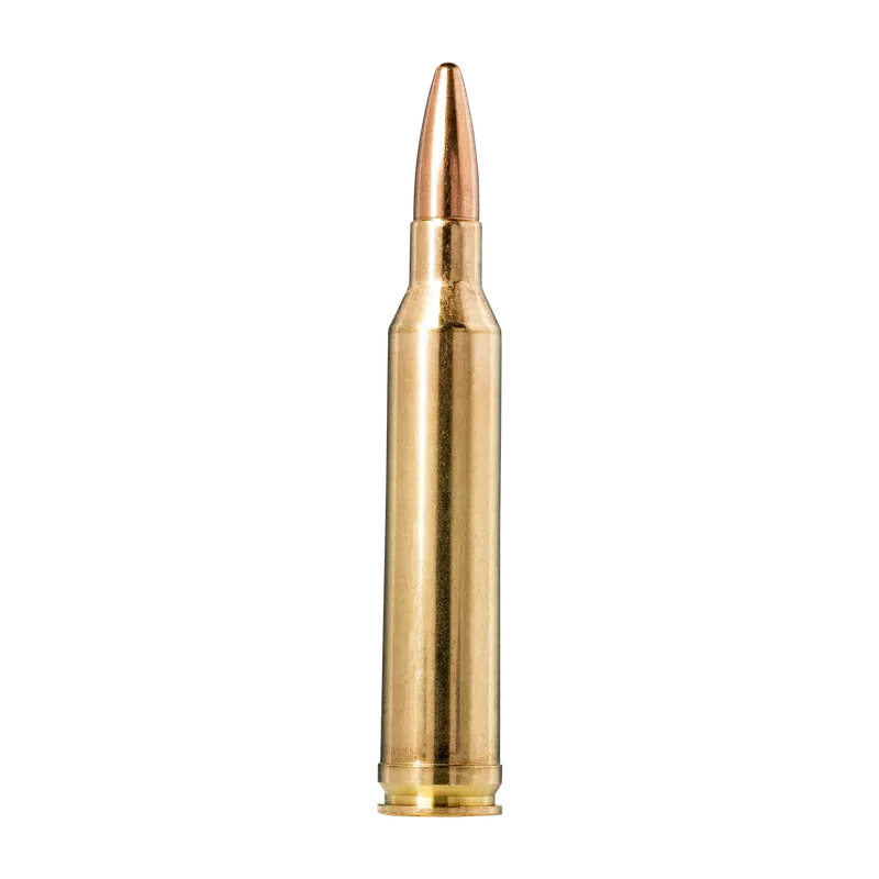 FMJ Jaktmatch Ammunition - Superpris