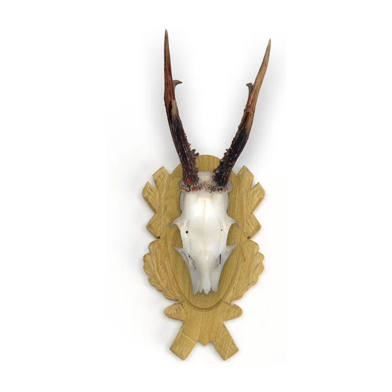Lågt pris | Roebuck Trophy Plate Oak 4 Carved - Set Light